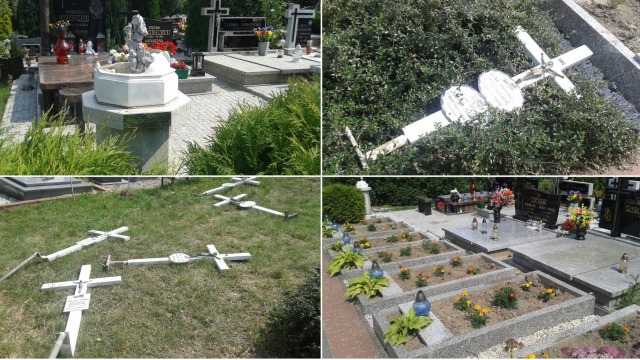 Powyrywane krzyże z grobów zakonnic. Zniszczenia na poznańskim cmentarzu